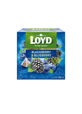 Vaisinė gervuogių ir mėlynių arbata LOYD, 40 g