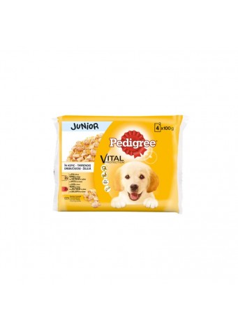 Šunų ėdalo rinkinys PEDIGREE Junior, 4 x 100g
